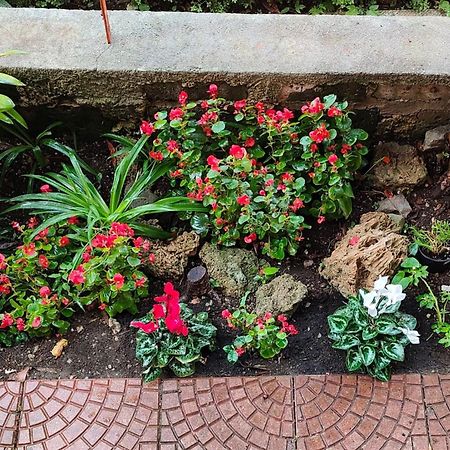 פגאני Casa Anselmo Guest House מראה חיצוני תמונה
